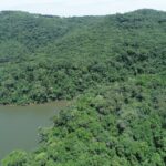 Pesquisa nacional aponta que Santa Catarina reduziu em 12% o desmatamento da Mata Atlântica