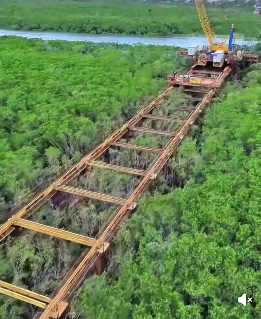 Obra da ponte avança na região do mangue