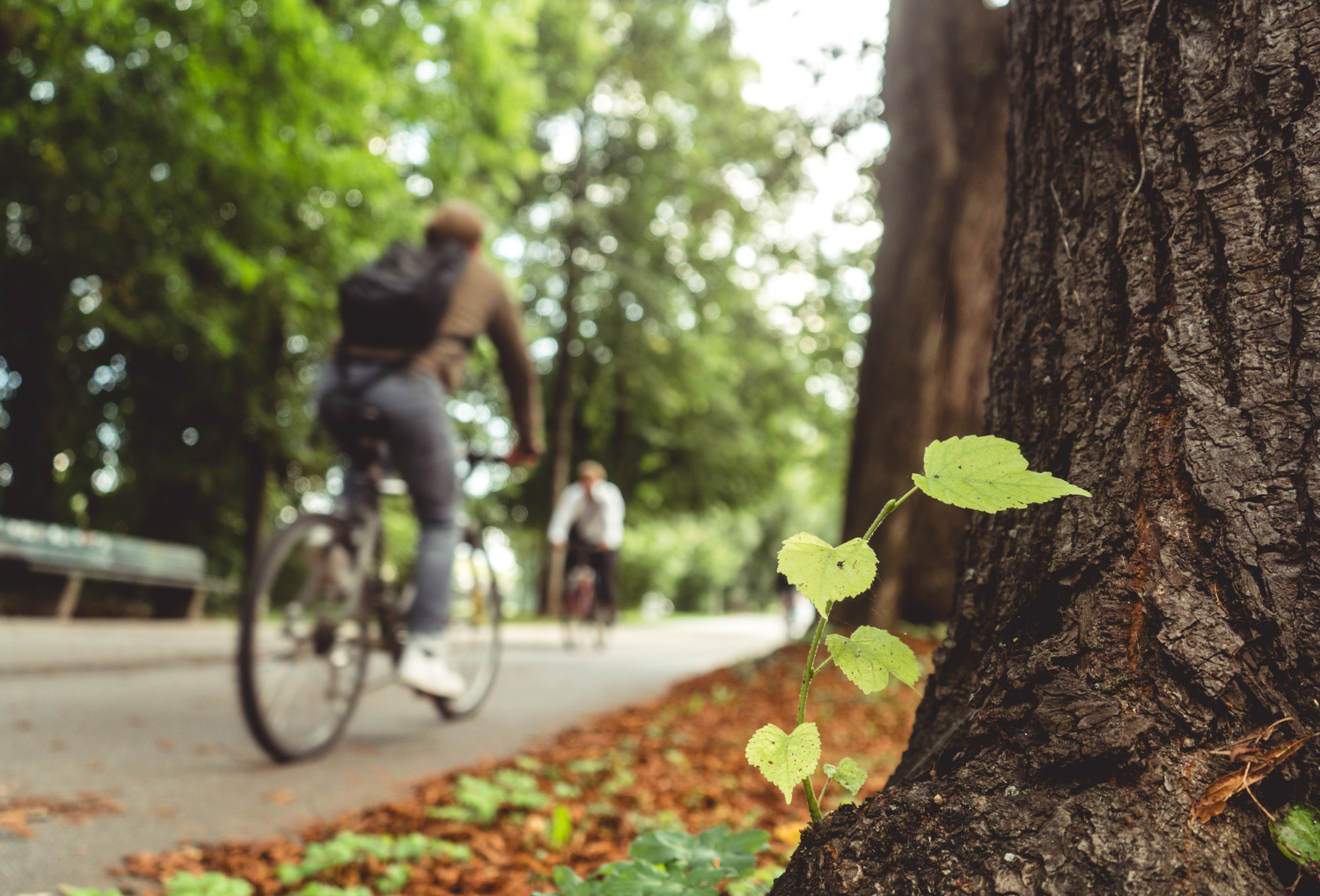 Turismo com Identidade: Camboriú Ruma a um Futuro Sustentável