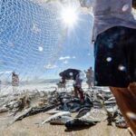 Ministério da Pesca e Aquicultura define ampliação de cota para arrasto de praia em SC