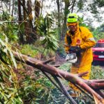 Bombeiros registram mais de 150 ocorrências após temporais em Santa Catarina