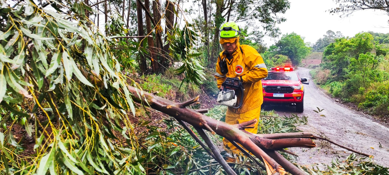 Bombeiros registram mais de 150 ocorrências após temporais em Santa Catarina