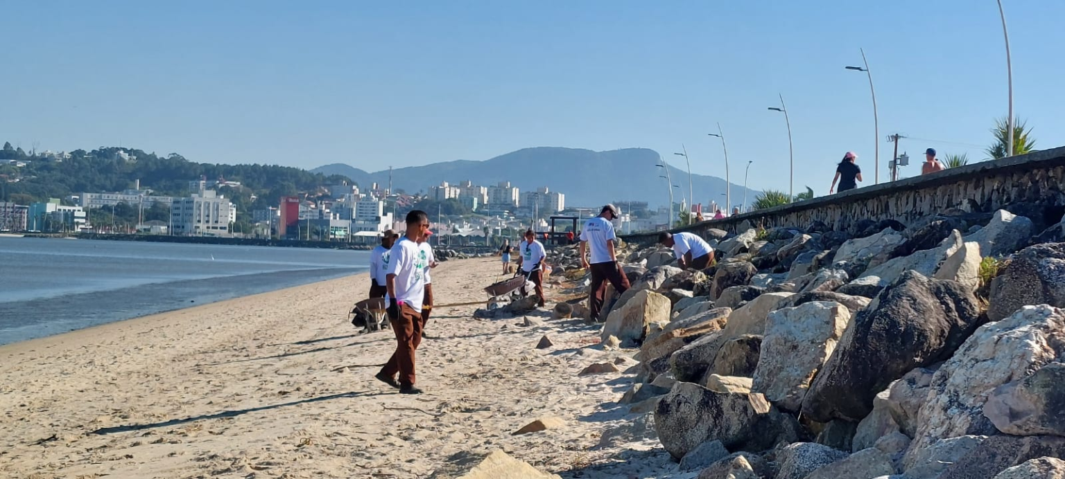 São José promove mês de ações ambientais com plantios, mutirões e atividades educativas
