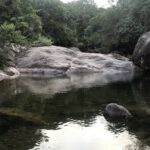 Trilhas em Palhoça oferecem opções de ecoturismo e contato com a natureza