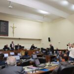 Florianópolis aprova lei que proíbe a venda de cães e gatos e reforça proteção animal