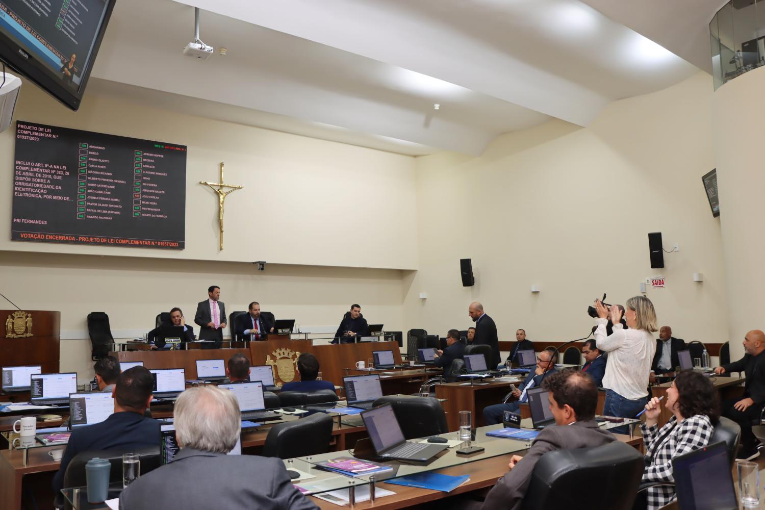 Florianópolis aprova lei que proíbe a venda de cães e gatos e reforça proteção animal
