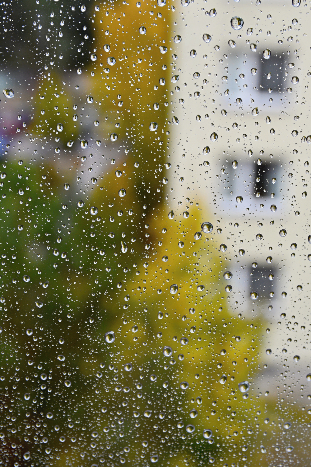 Frente fria provoca chuva, ventos fortes e queda nas temperaturas em Santa Catarina neste fim de semana