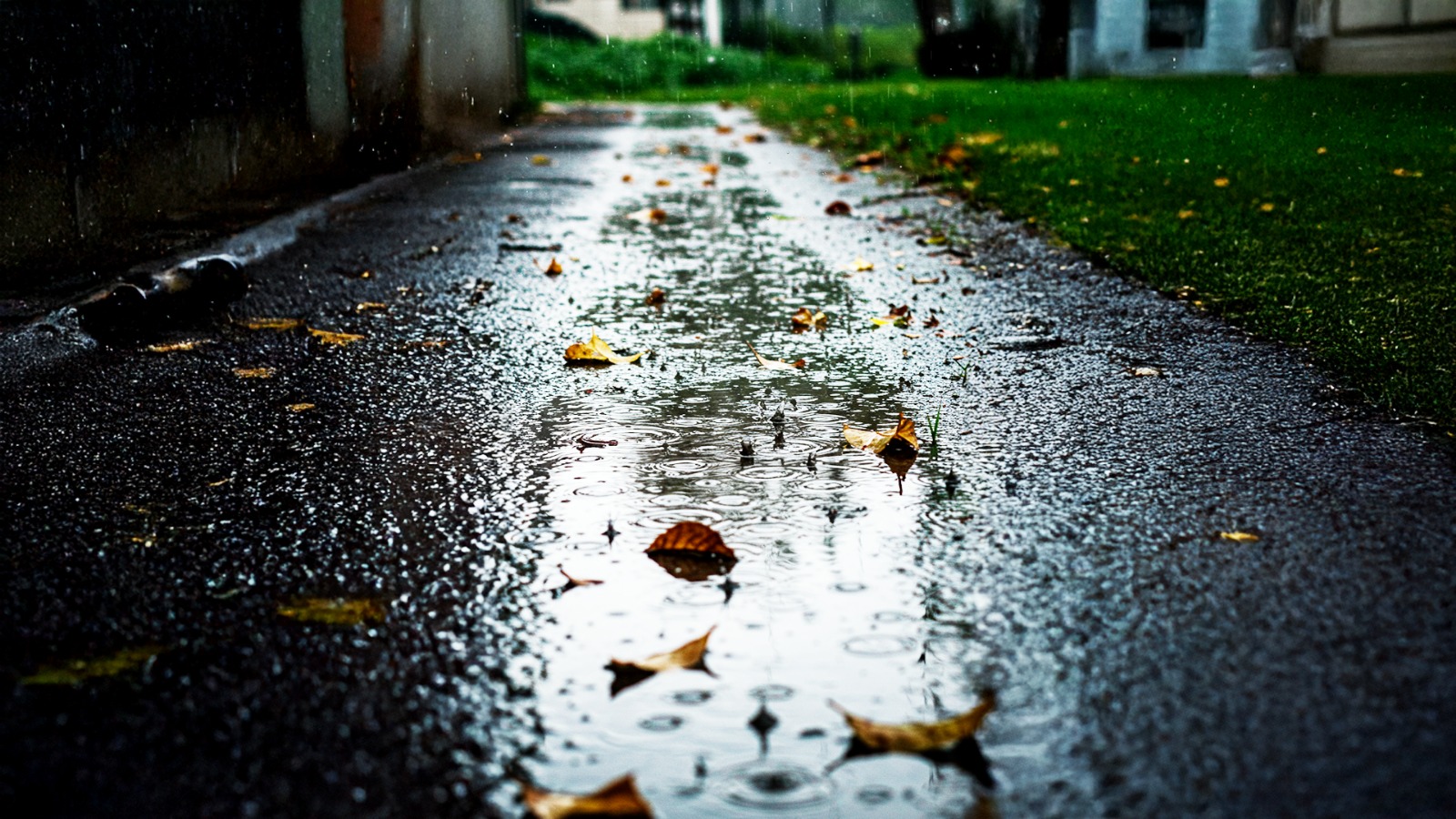 Semana será marcada por chuva frequente e frio intenso em Santa Catarina