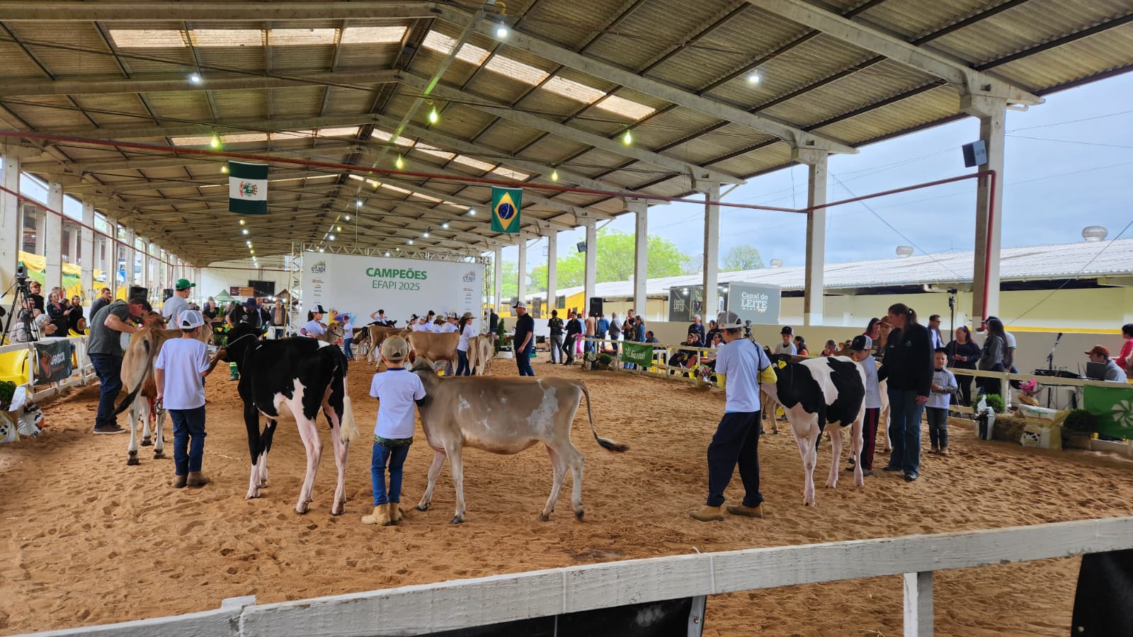 Efapi do Brasil 2025 consolida destaque do agronegócio com alta qualidade genética e bons resultados