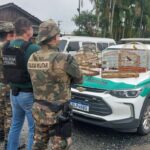 GAECO e Polícia Militar Ambiental deflagram Operação Libertas em Santa Catarina