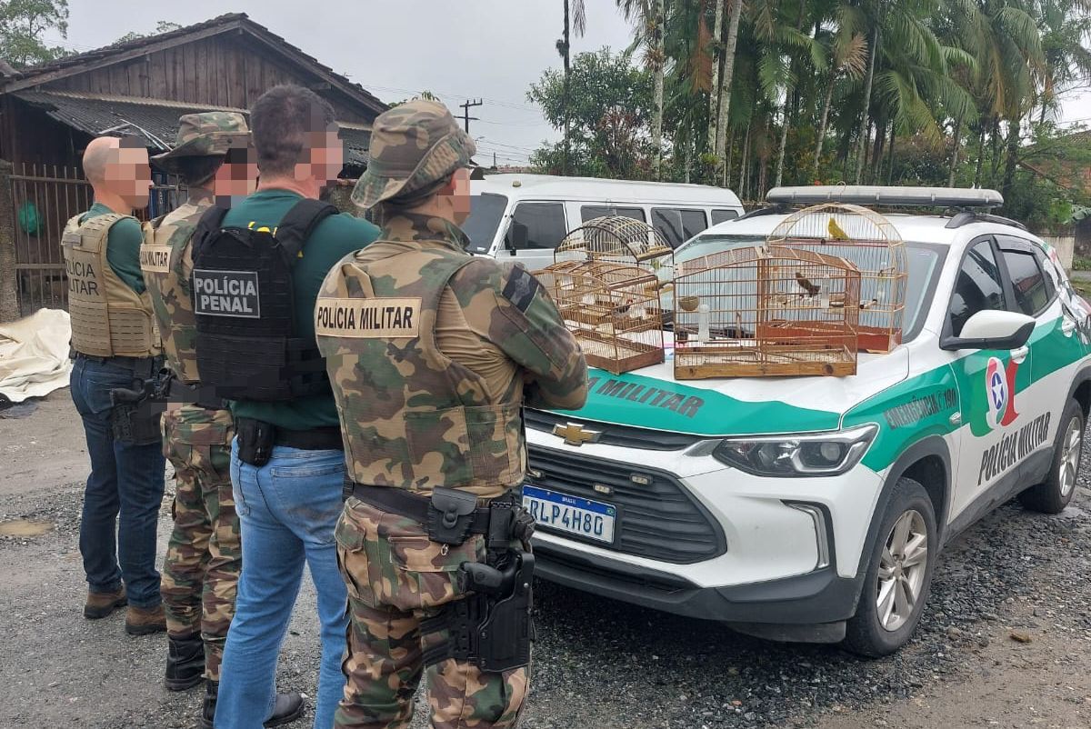 GAECO e Polícia Militar Ambiental deflagram Operação Libertas em Santa Catarina