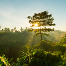 TCE/SC apresenta na COP30 relatórios que avaliam políticas climáticas de Santa Catarina e Florianópolis