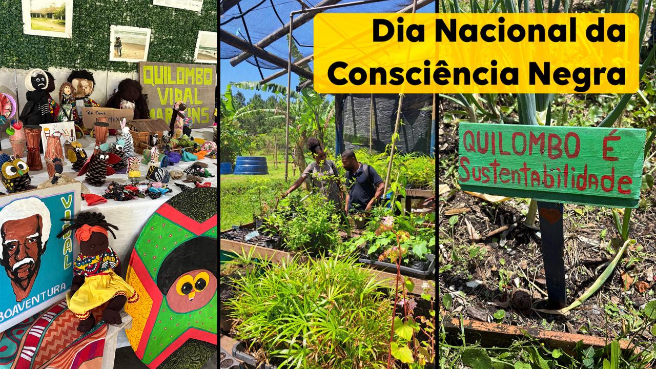 TCE/SC promove atividade pedagógica em quilombo em celebração ao Dia da Consciência Negra