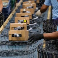 Economia de Santa Catarina cresce acima da média nacional em 2025