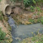 Saneamento: SC corre risco de penalização por não aprovar lei; Jorginho deu anuência a Campagnolo para combater Carlos Bolsonaro; Secretário de Estado na CPI – e outros destaques