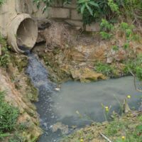 Saneamento: SC corre risco de penalização por não aprovar lei; Jorginho deu anuência a Campagnolo para combater Carlos Bolsonaro; Secretário de Estado na CPI – e outros destaques