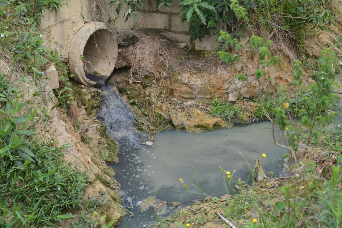 Saneamento: SC corre risco de penalização por não aprovar lei; Jorginho deu anuência a Campagnolo para combater Carlos Bolsonaro; Secretário de Estado na CPI – e outros destaques