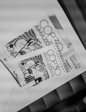 SC apresenta propostas de preservação ambiental e desenvolvimento sustentável na COP30