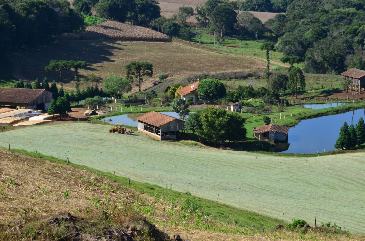 Governo de SC encaminha à Alesc programa de crédito para impulsionar investimentos no agronegócio