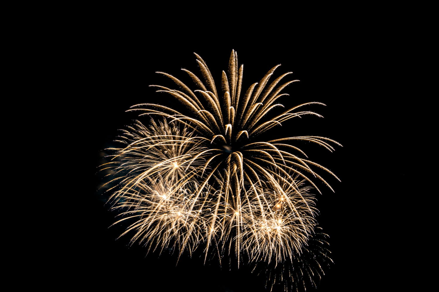 Festival Réveillon Itajaí 2026 deve atrair cerca de 70 mil visitantes