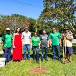 TCE/SC marca 70 anos com doação de mudas e ações voltadas à descarbonização