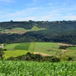 Alesc aprova Coopera Agro SC, programa que amplia crédito e fortalece cooperativas