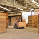 Serra Catarinense consolida protagonismo em polos industriais de base florestal