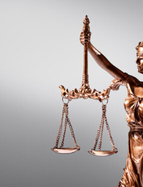 A pedido do MPSC, Justiça decreta prisão preventiva de suspeitos por maus-tratos e morte de cães no Vale do Itajaí