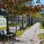 Outono em Santa Catarina deve ter temperaturas acima da média e variação térmica acentuada