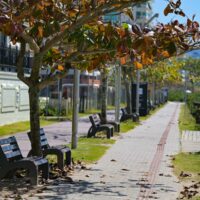 Outono em Santa Catarina deve ter temperaturas acima da média e variação térmica acentuada