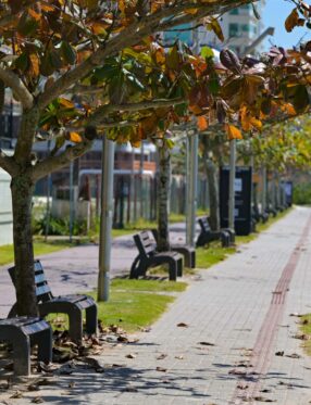 Outono em Santa Catarina deve ter temperaturas acima da média e variação térmica acentuada