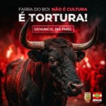 Governo de SC realiza campanha de conscientização e reforça fiscalização contra a farra do boi