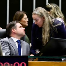 Deputada Daniela Reinehr pede celeridade na votação de projeto sobre produtos lácteos