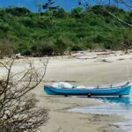 MPSC pede suspensão de licença ambiental para complexo portuário no Sumidouro, em São Francisco do Sul