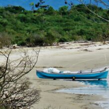 MPSC pede suspensão de licença ambiental para complexo portuário no Sumidouro, em São Francisco do Sul