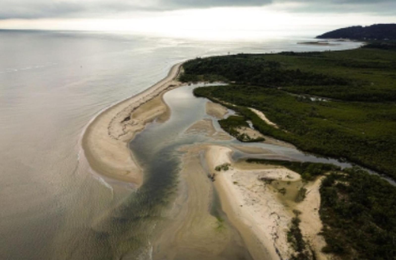 Justiça suspende licença ambiental de complexo portuário em São Francisco do Sul após ação do MPSC