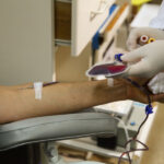 Alesc analisa projetos sobre servidores, incentivos fiscais e patrimônio cultural em Santa Catarina