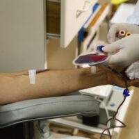 Alesc analisa projetos sobre servidores, incentivos fiscais e patrimônio cultural em Santa Catarina