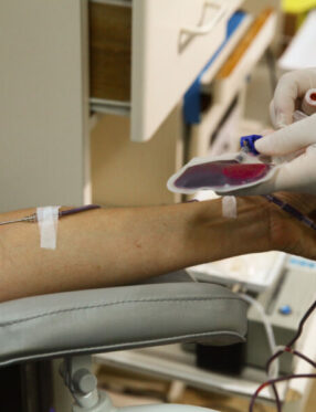 Alesc analisa projetos sobre servidores, incentivos fiscais e patrimônio cultural em Santa Catarina