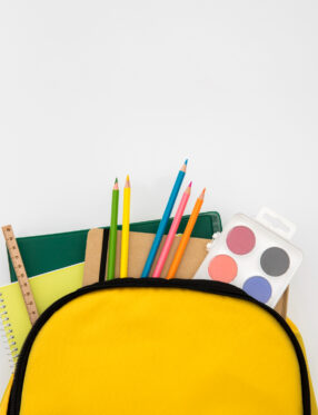 TCE de Santa Catarina aponta avanços no alinhamento entre orçamento estadual e metas do Plano Estadual de Educação