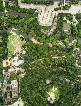 Mais de 200 municípios de SC flexibilizam proteção em áreas de preservação permanente urbanas