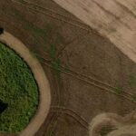 Agro de SC cresce 15,1% e movimenta R$ 74,9 bilhões em 2025