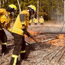 Menos chuva eleva risco de incêndios florestais e bombeiros reforçam capacitação em SC
