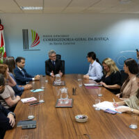 CNJ destaca agilidade de Santa Catarina na concessão de medidas protetivas