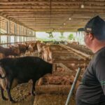 Pronampe Leite movimenta R$ 84 milhões no primeiro mês em Santa Catarina