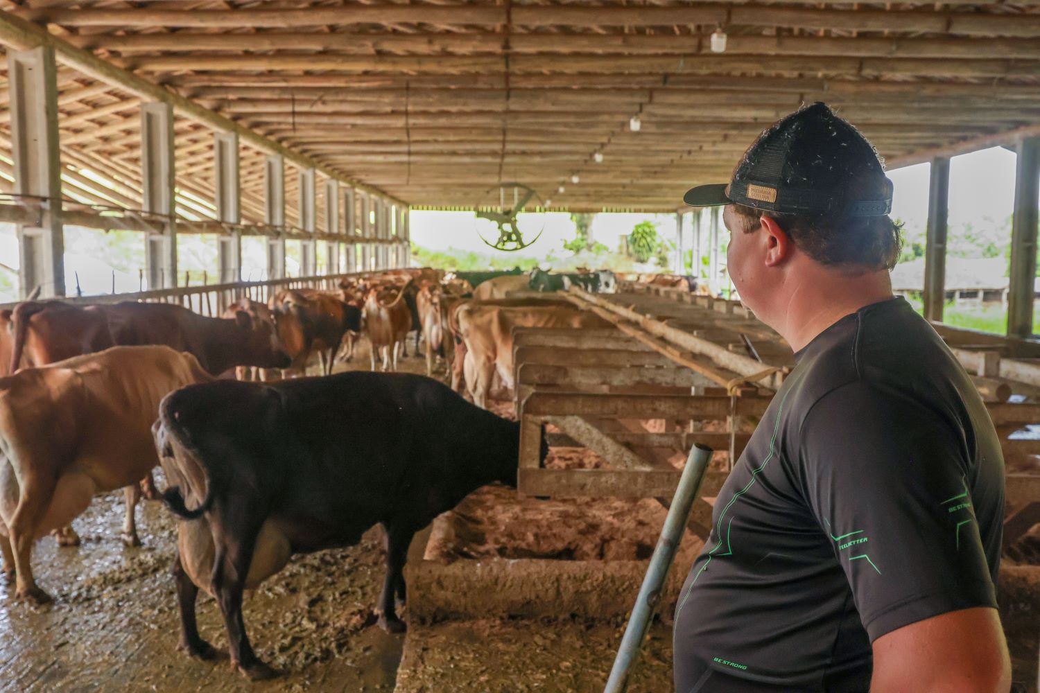Pronampe Leite movimenta R$ 84 milhões no primeiro mês em Santa Catarina
