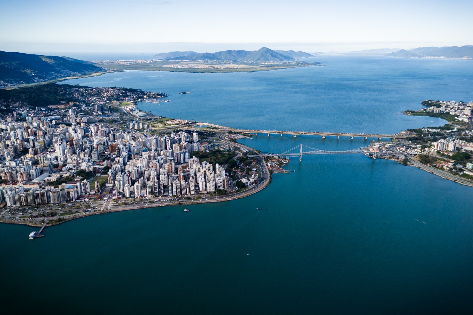 Florianópolis sedia fórum regional sobre arborização urbana