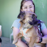 Abril Laranja: Governo de Santa Catarina reforça ações de proteção e bem-estar animal no estado