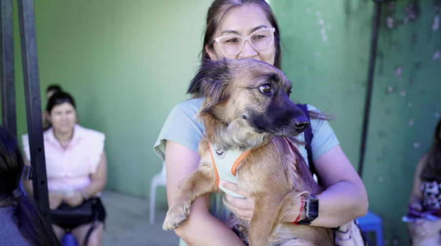 Abril Laranja: Governo de Santa Catarina reforça ações de proteção e bem-estar animal no estado