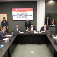 CCJ aprova projeto que reduz tributação sobre armas e munições em Santa Catarina